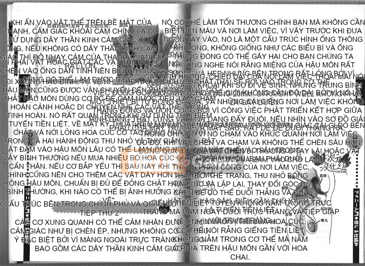 [2D Hankagumi][Abuhyaku] Tôi có thể tự làm được ~ Giới thiệu về Annie dành cho nam giới