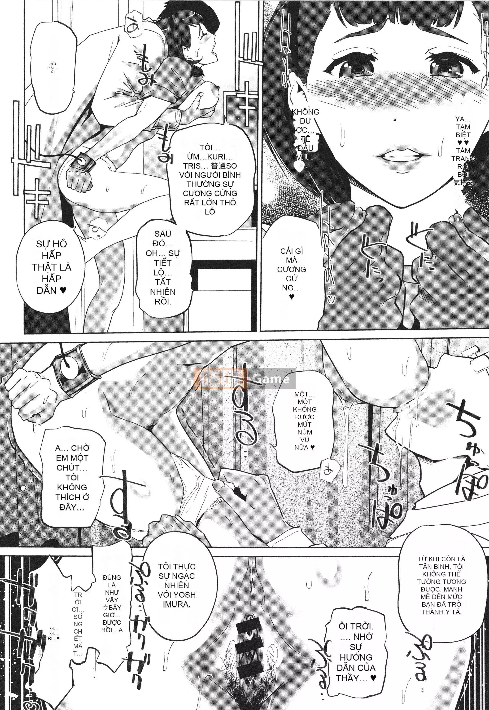 [nhân bản con người] Natsu no Nest