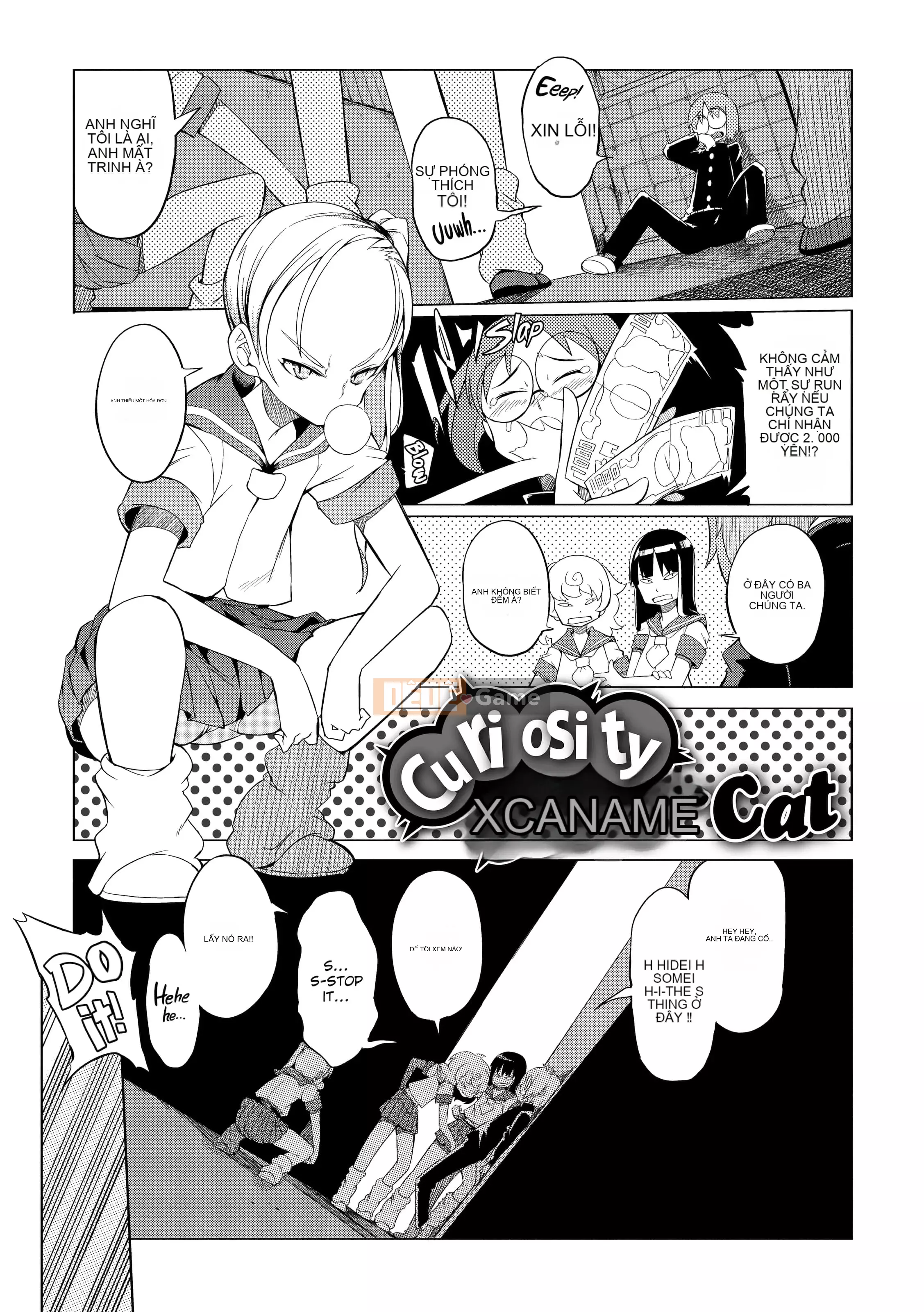 [F4U] Sự tò mò đã XXX con mèo