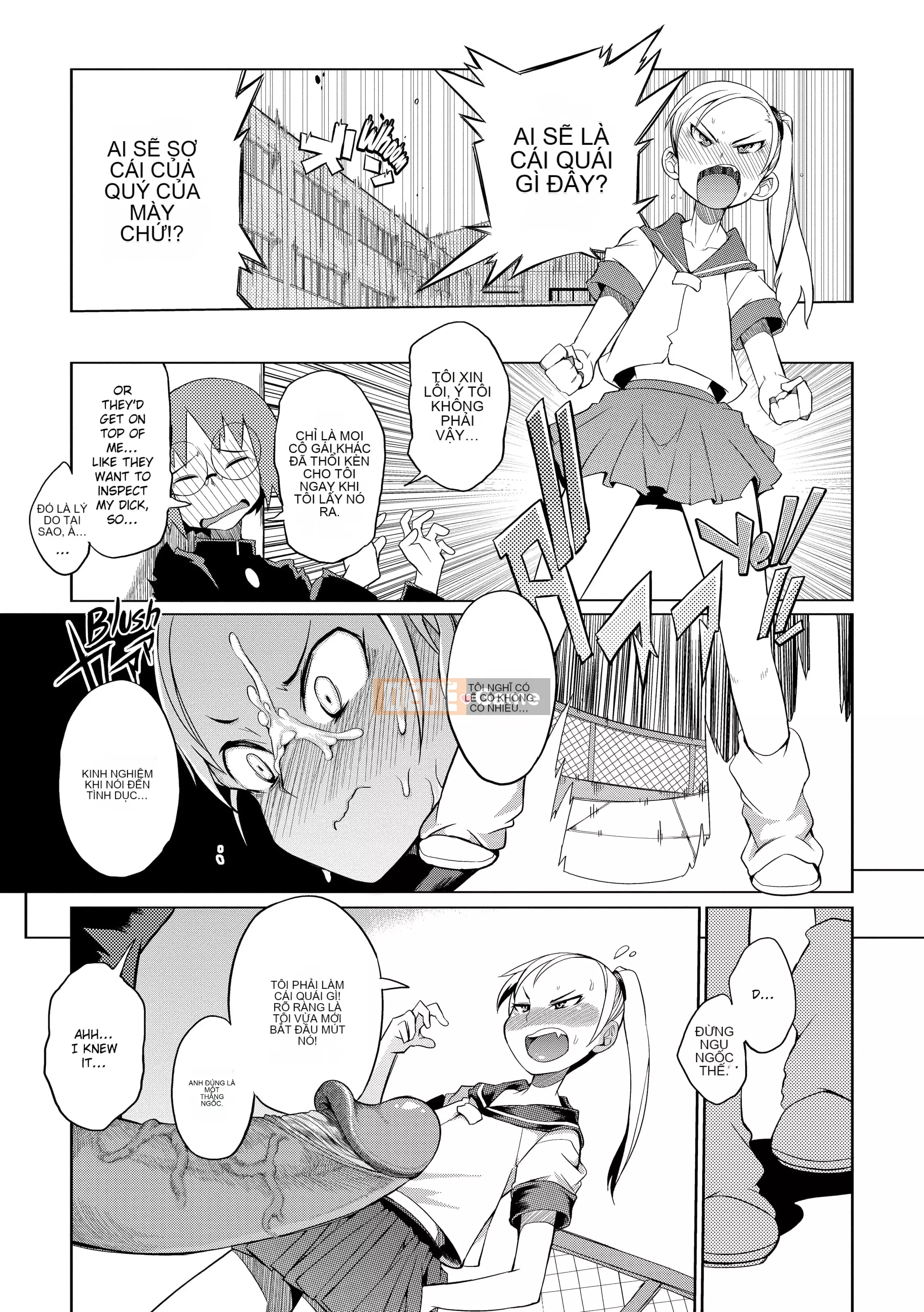 [F4U] Sự tò mò đã XXX con mèo