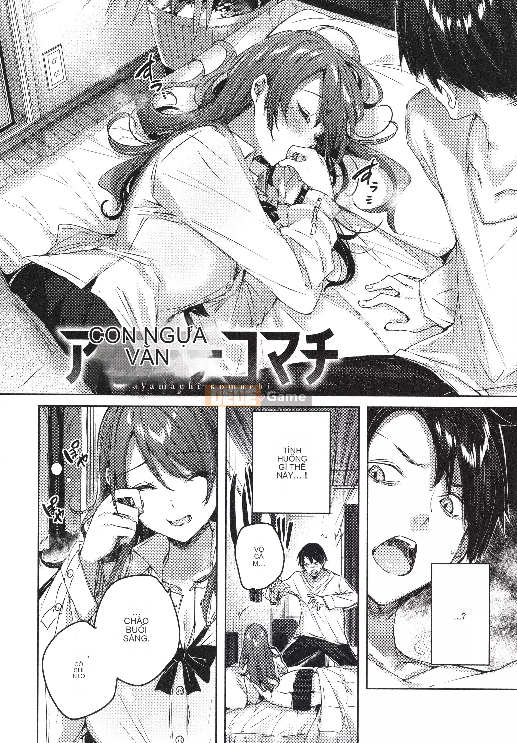 [kakao] Tờ rơi Cisco Splash + 4P