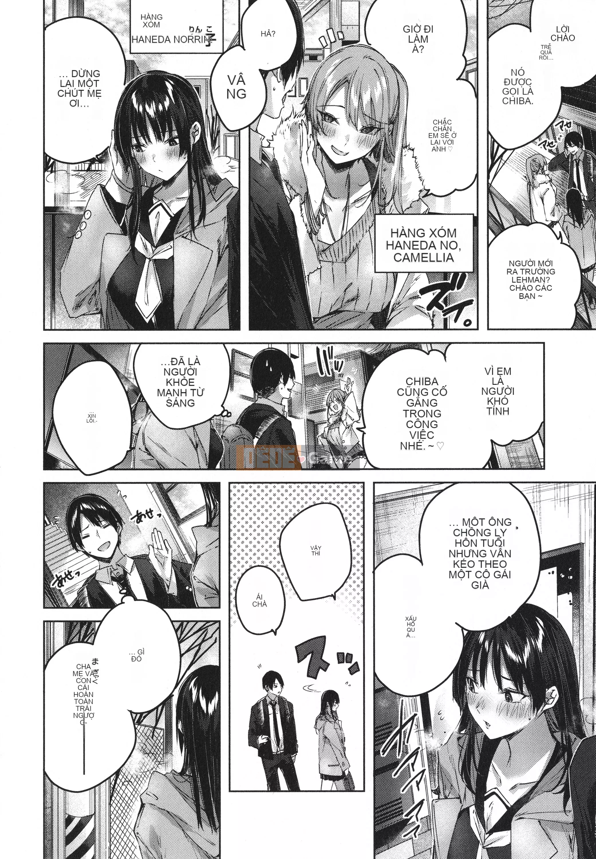 [kakao] Tờ rơi Cisco Splash + 4P