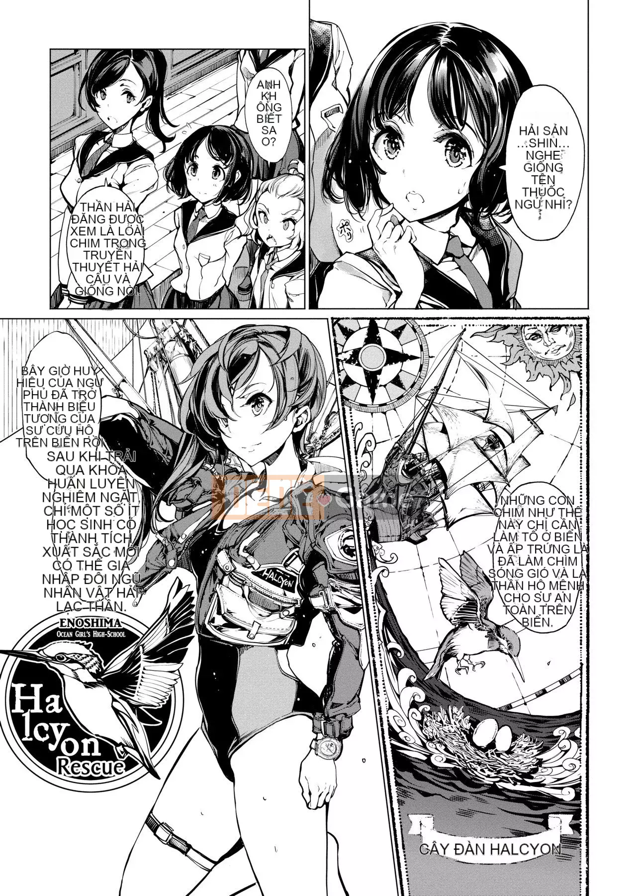 [Yudou Okito] Thợ lặn Otohime Thợ lặn Otohime