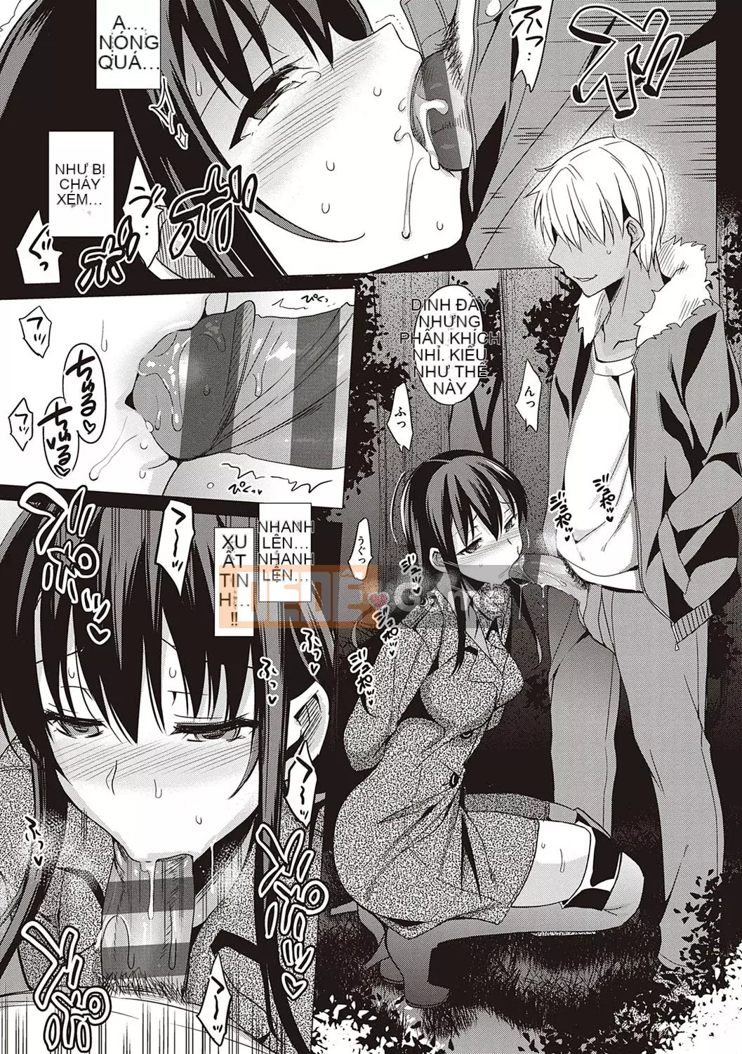 [Saikawa Yusa] Mùa hè Halation Yui