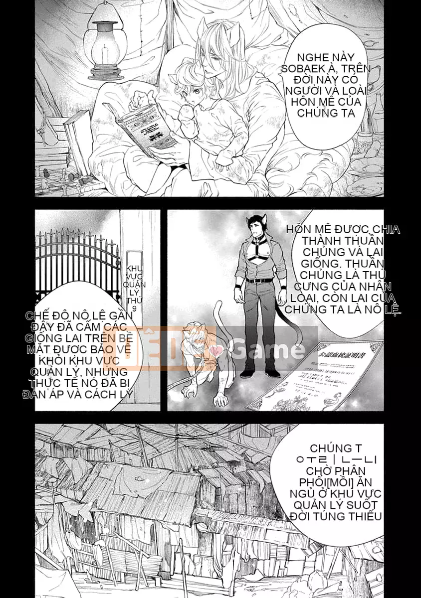 [Nangoku Banana] Kemono được yêu thích từ phía sau ~