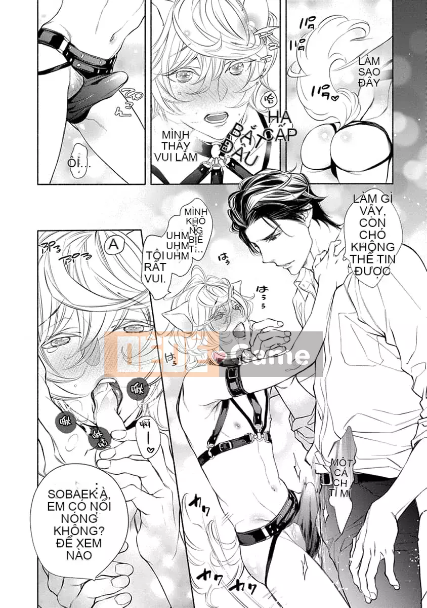 [Nangoku Banana] Kemono được yêu thích từ phía sau ~