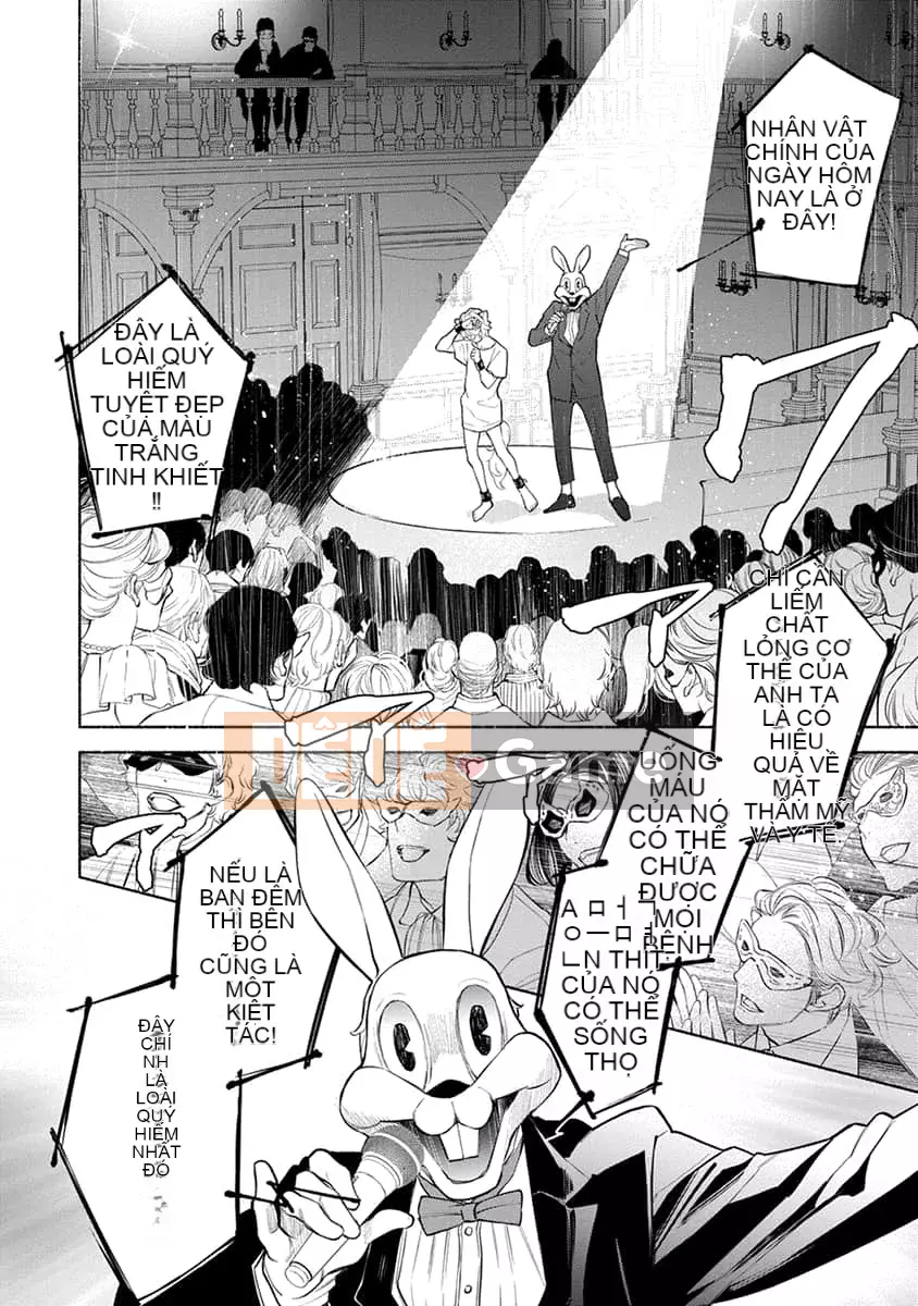 [Nangoku Banana] Kemono được yêu thích từ phía sau ~