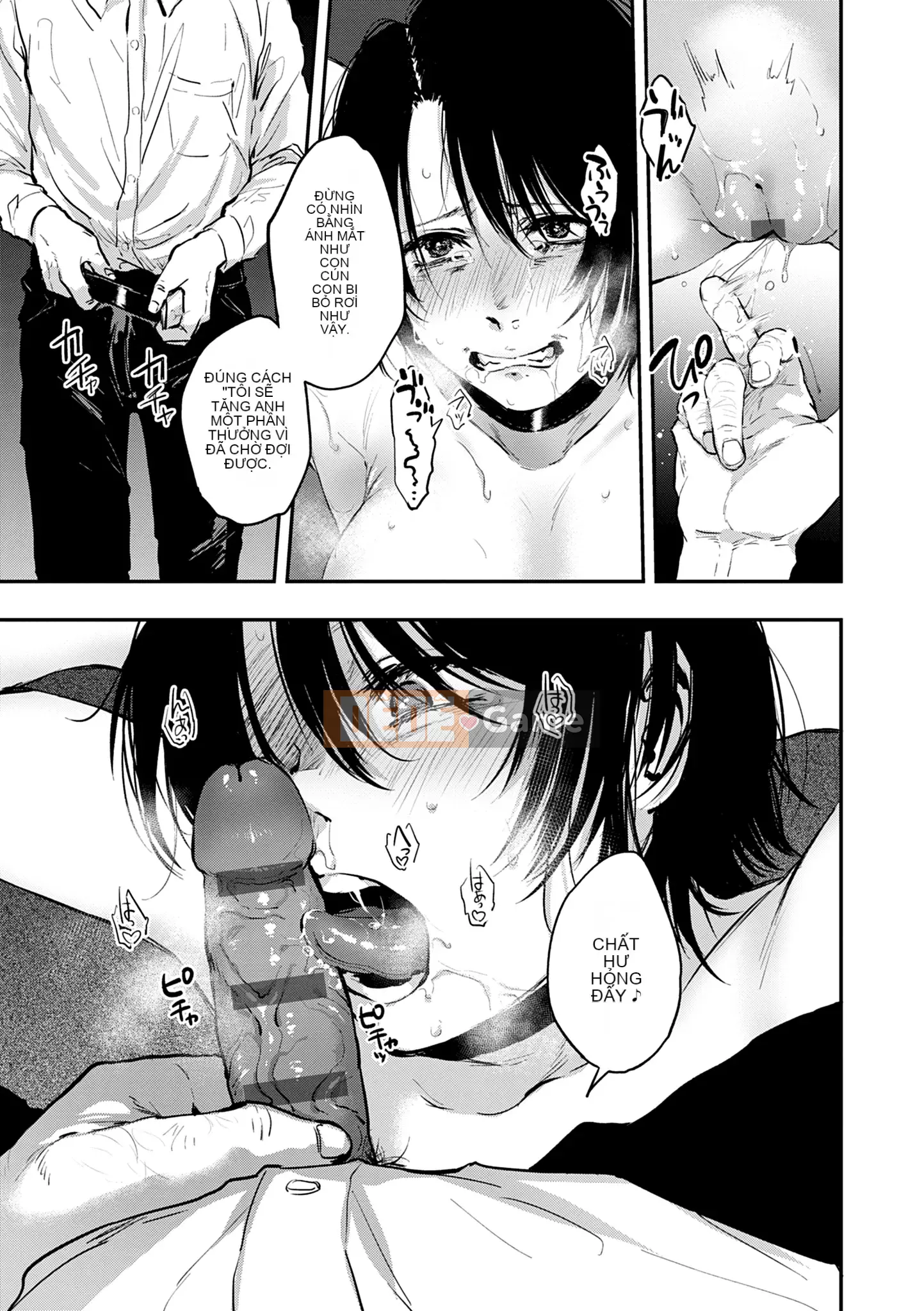 Khu vườn [Sakijiro]