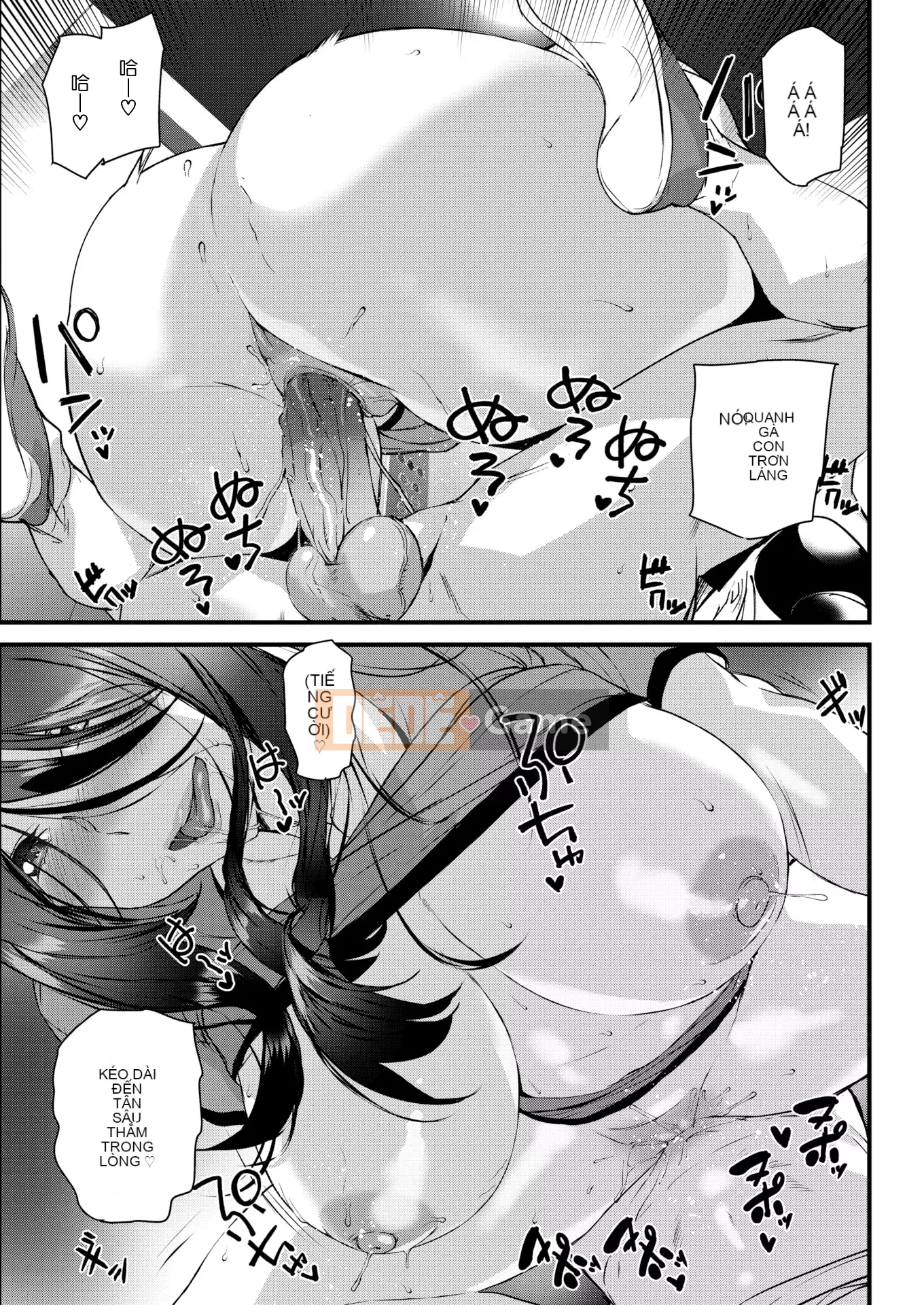 [Ashiomi Masato] Dịch vụ Zakari + Thẻ minh họa (Phiên bản phân loại cá nhân)