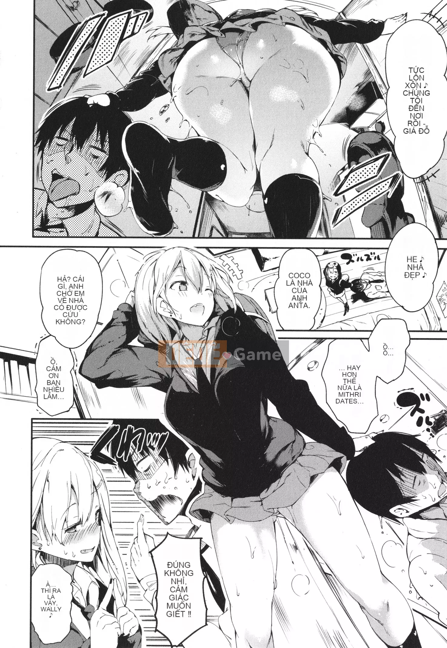 [momi] Fluppy! Wan Moa! + Tờ rơi 4P