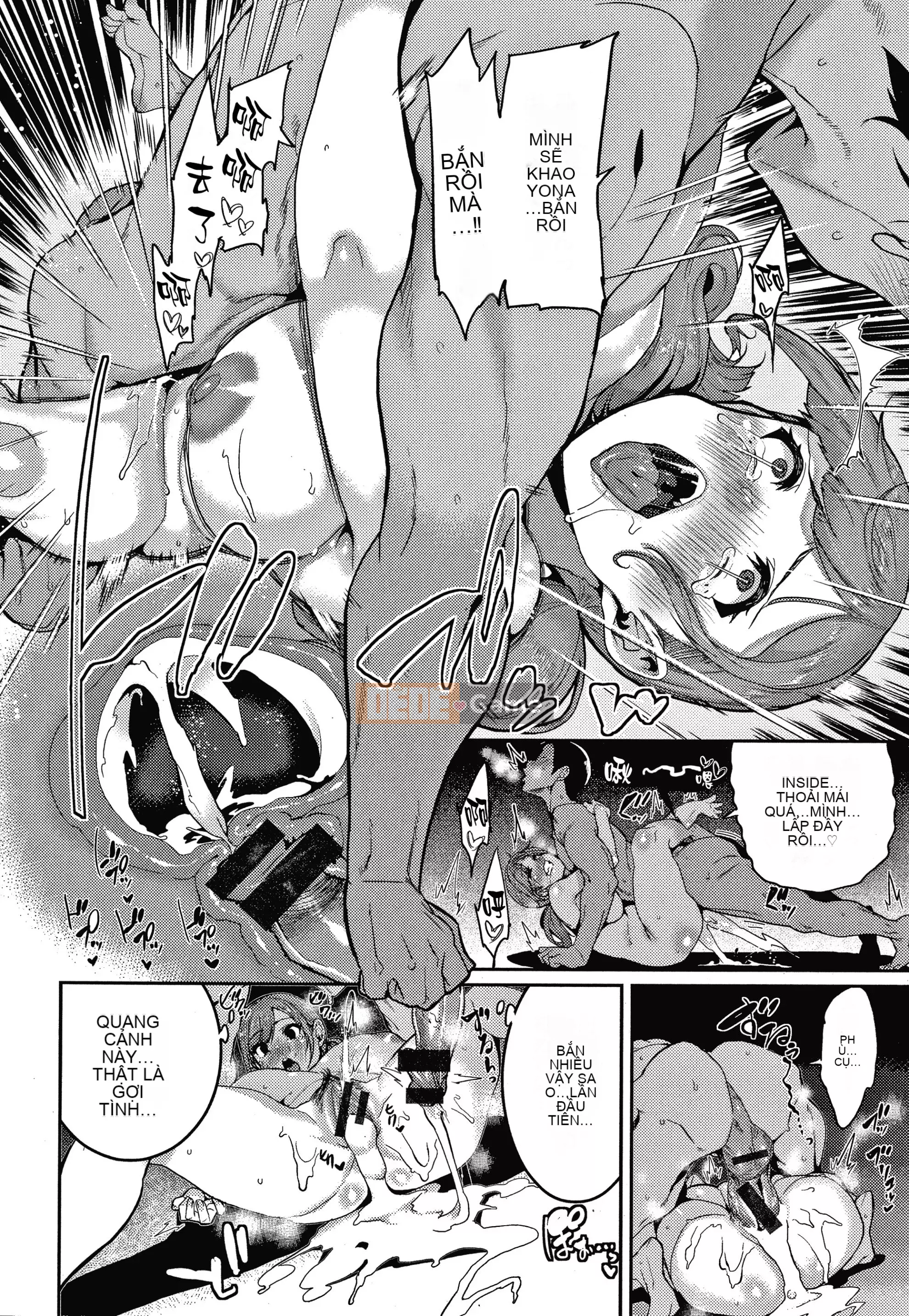 [Gấu kỳ lạ] Thời gian khai thác vui vẻ