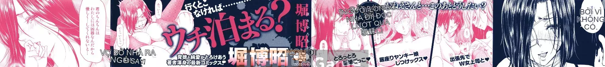 [Hiroaki Hori] Nếu bạn đón một người phụ nữ bỏ trốn