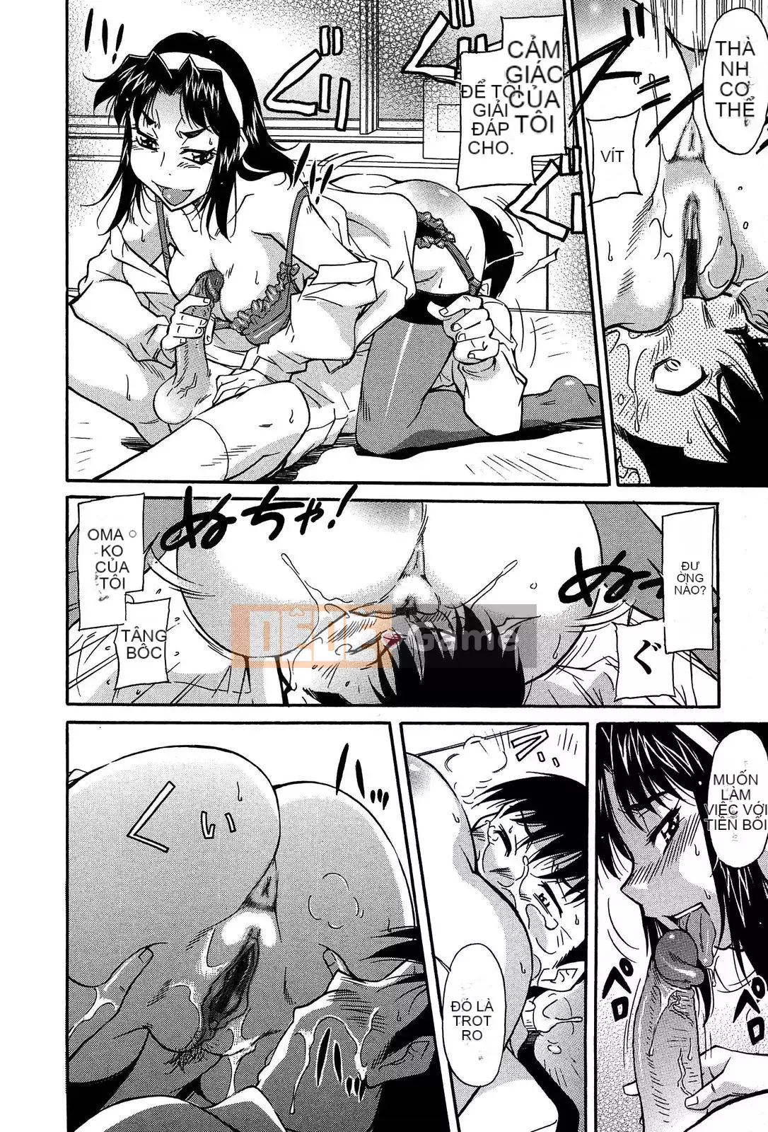 [Kanekoshiaki] Hệ thống dự đoán cô gái cưỡi ngựa