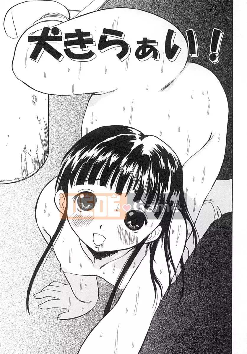 [Penicillin XI] Damekko Ijiri