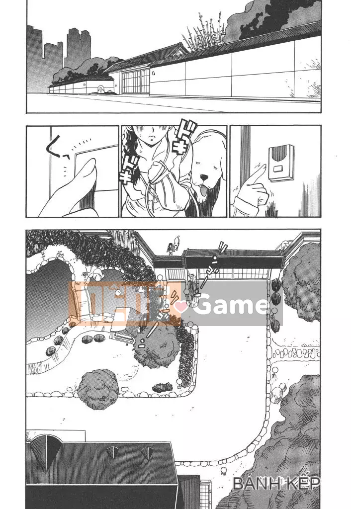 [Penicillin XI] Punchy