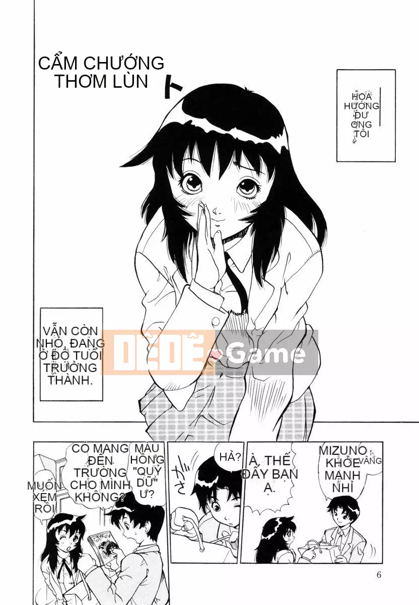 [Penicillin XI] Nụ hướng dương