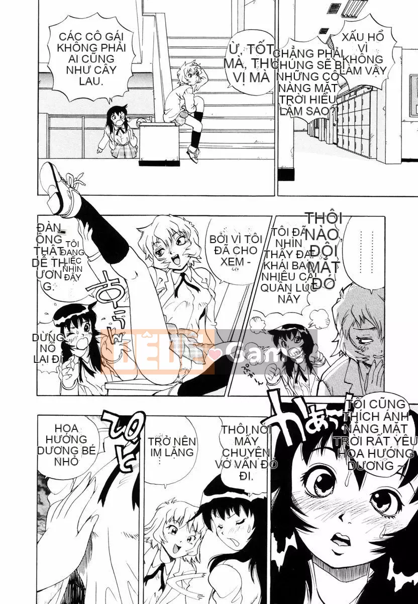 [Penicillin XI] Nụ hướng dương