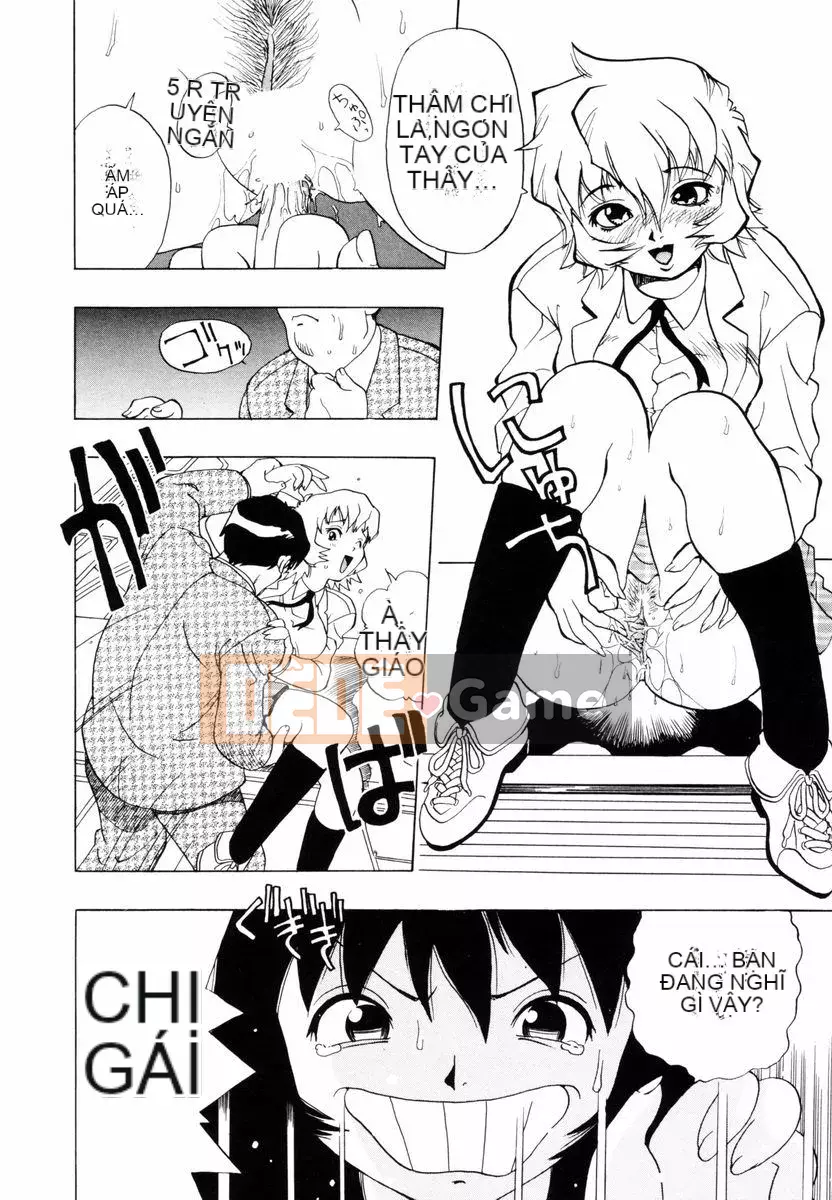 [Penicillin XI] Nụ hướng dương