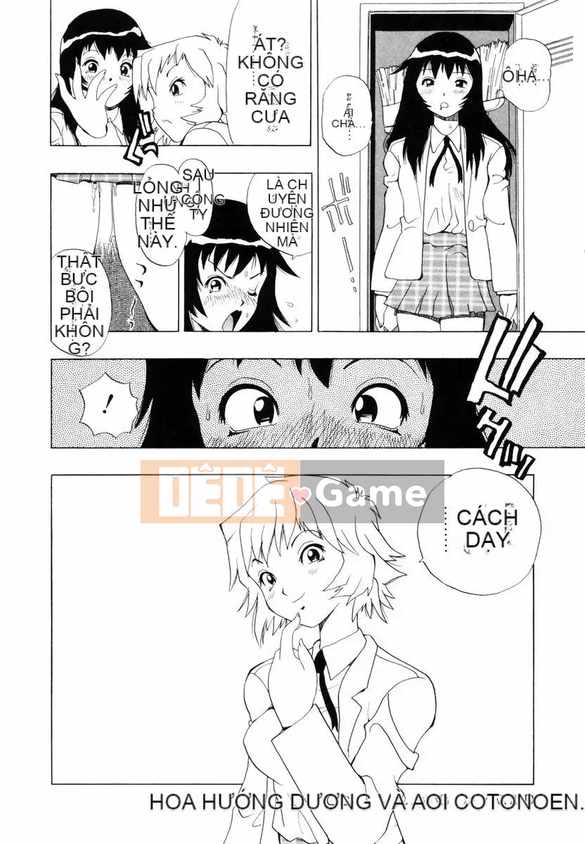 [Penicillin XI] Nụ hướng dương