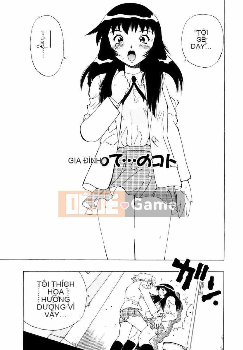 [Penicillin XI] Nụ hướng dương