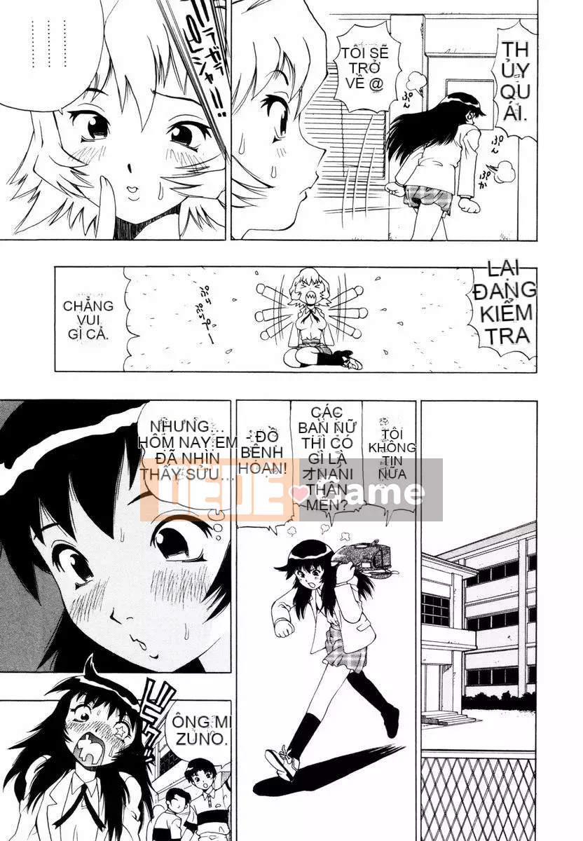 [Penicillin XI] Nụ hướng dương