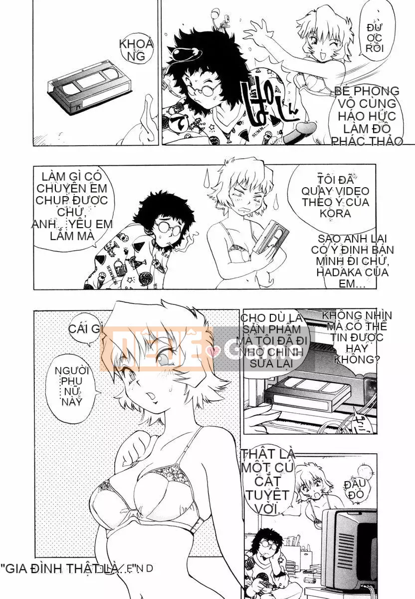 [Penicillin XI] Nụ hướng dương