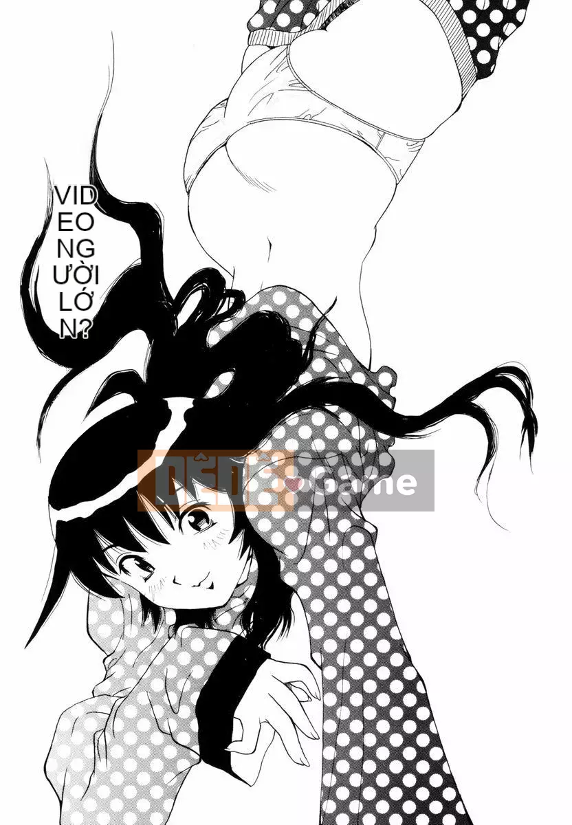 [Penicillin XI] Nụ hướng dương