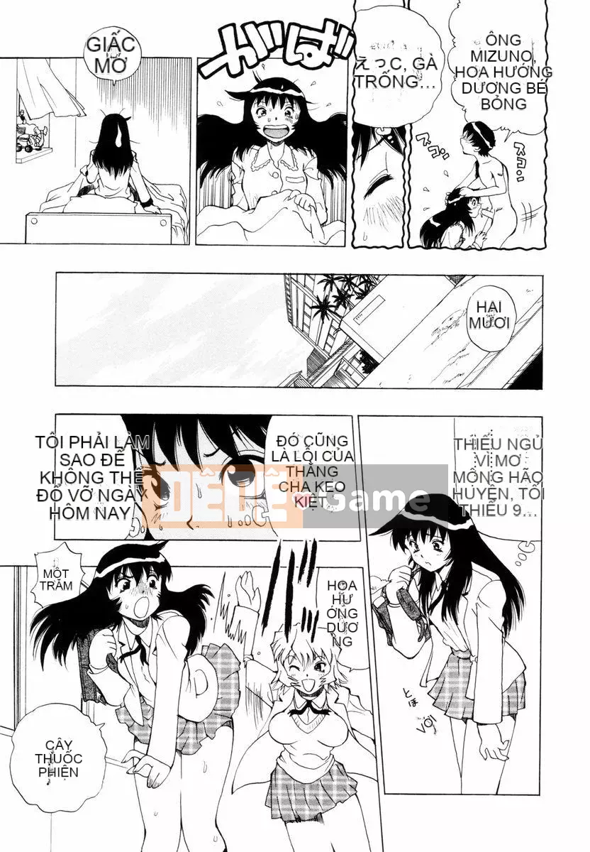 [Penicillin XI] Nụ hướng dương