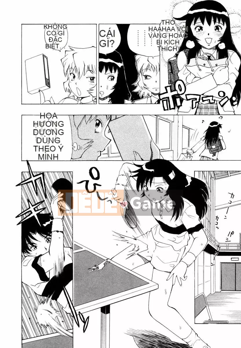 [Penicillin XI] Nụ hướng dương