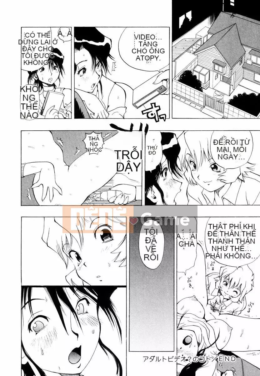 [Penicillin XI] Nụ hướng dương