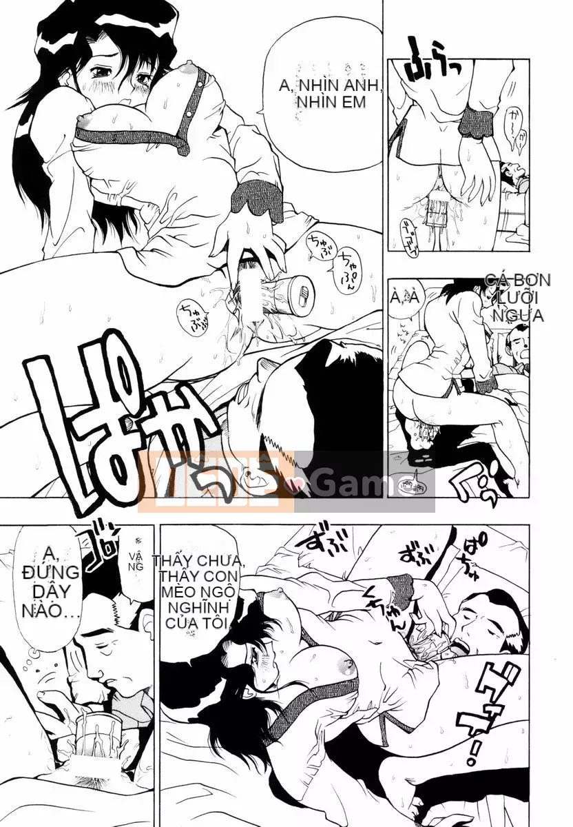 [Penicillin XI] Nụ hướng dương