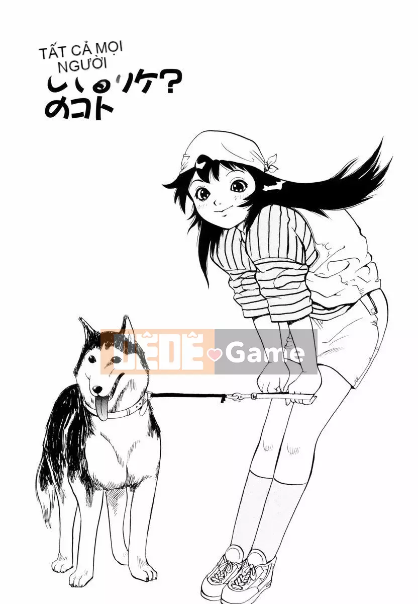 [Penicillin XI] Nụ hướng dương