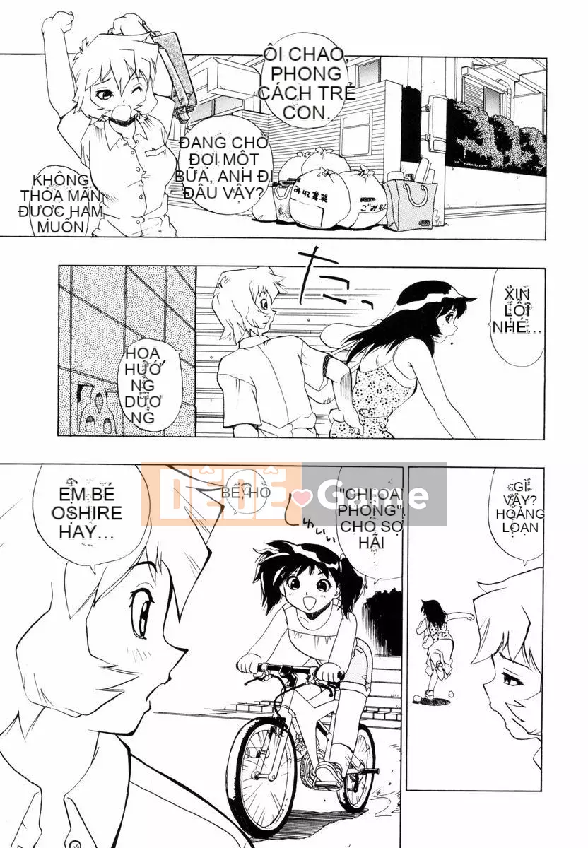 [Penicillin XI] Nụ hướng dương