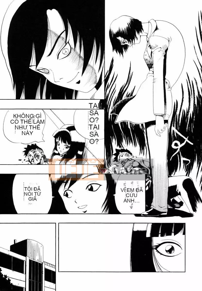 [Penicillin XI] Nụ hướng dương