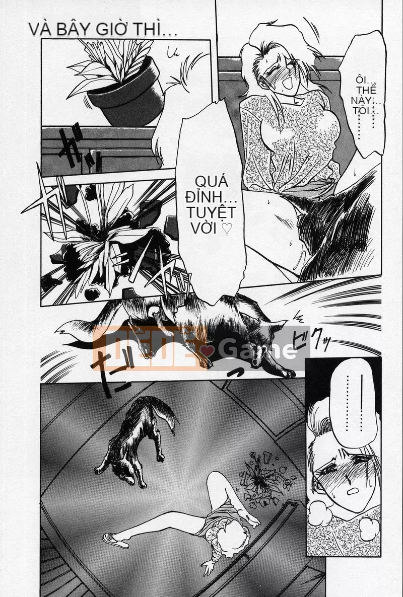 [Yamabunkyoden] Phương trình bị cấm