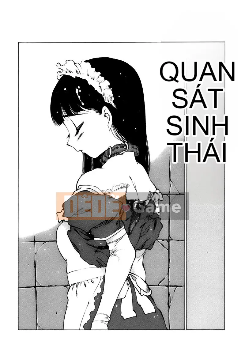 [Tây An] Shoujo Gaho