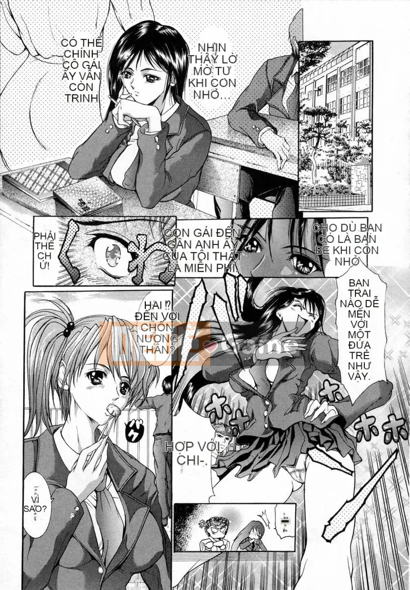 [GRIFON] Đồ chơi trái đào