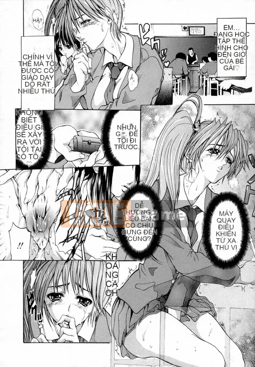 [GRIFON] Đồ chơi trái đào