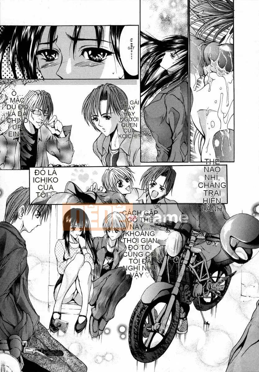 [GRIFON] Đồ chơi trái đào