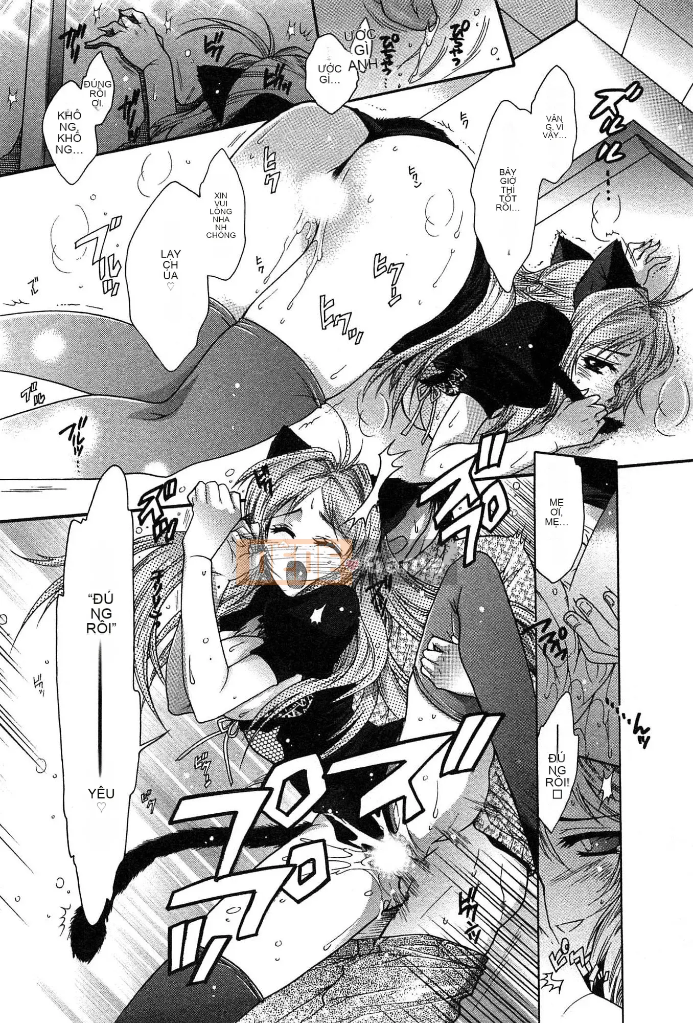 [Honda Arima] Cõng Nyanko!