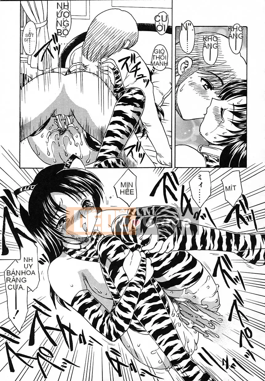 [Hiryu Ran] Giáo dục tại nhà vui vẻ