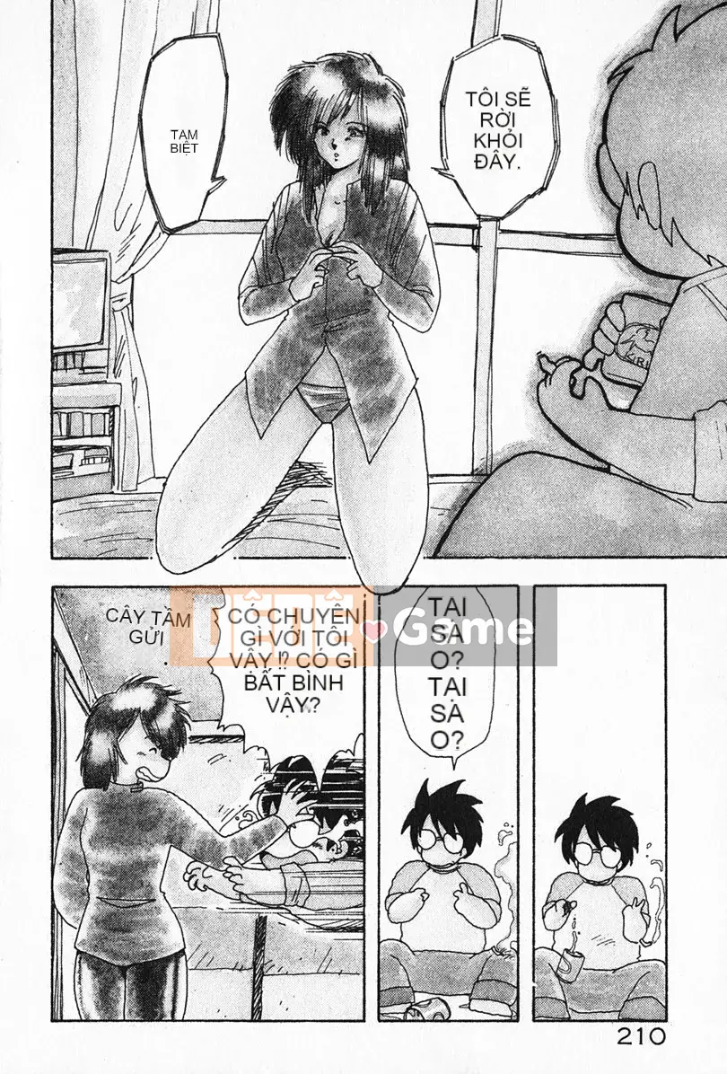 [Rồng bay hỗn loạn] Gia sư☆Sayaka