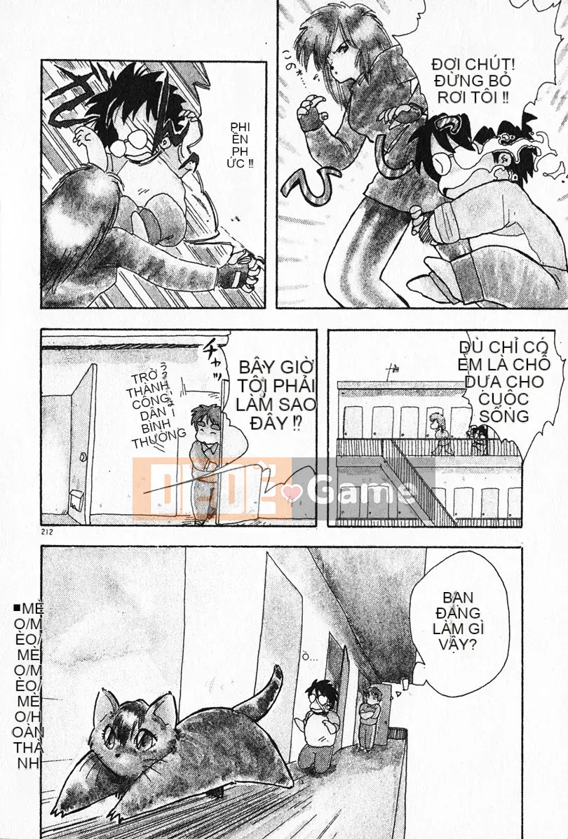 [Rồng bay hỗn loạn] Gia sư☆Sayaka