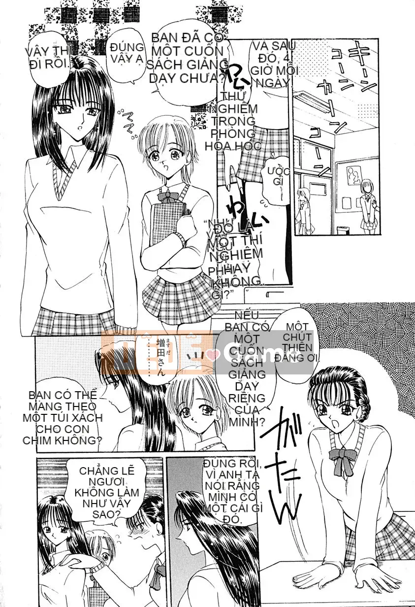 [Kurikara] Tôi đang theo dõi bạn