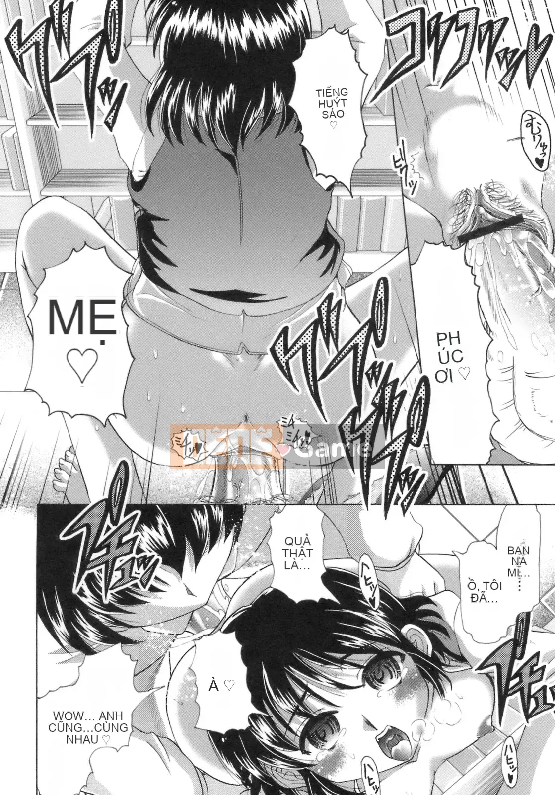 [Jinbo Hitode] Khi hoa anh đào và hoa lan rơi