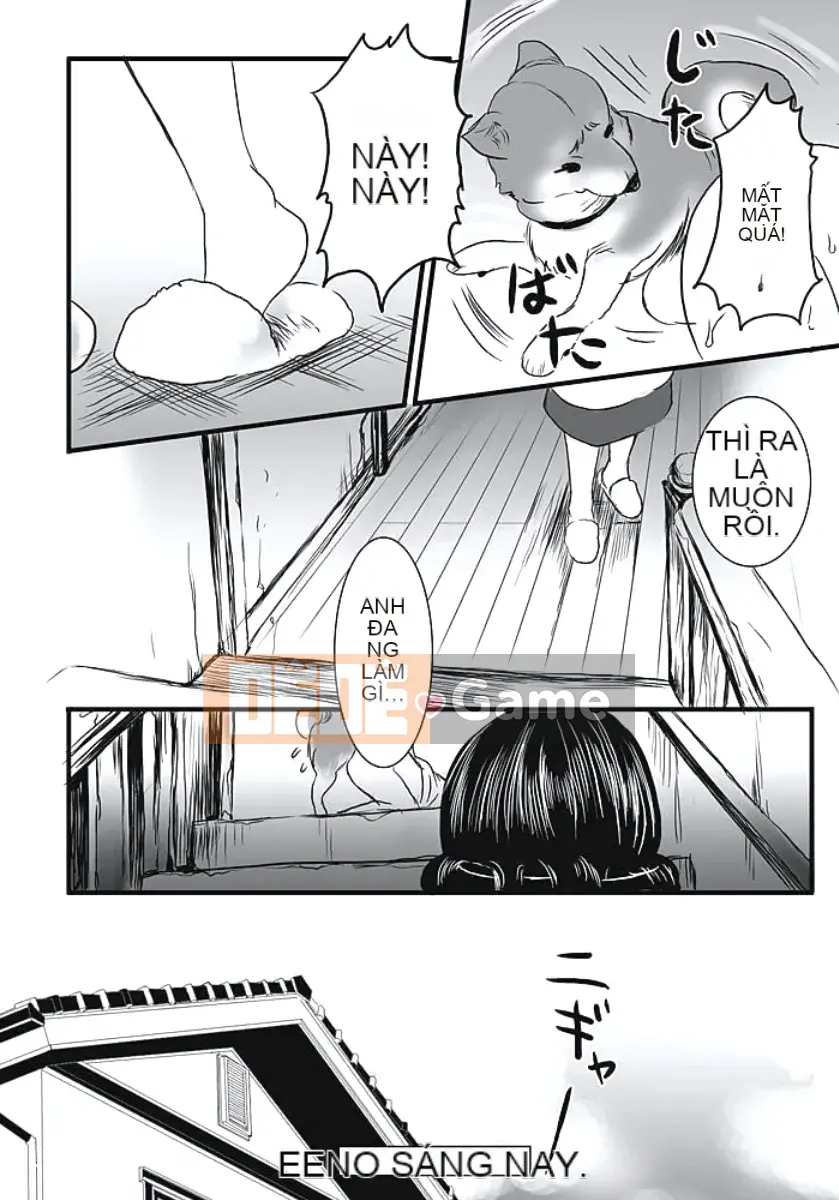 [Shiraishi Asuka] Cô gái động dục