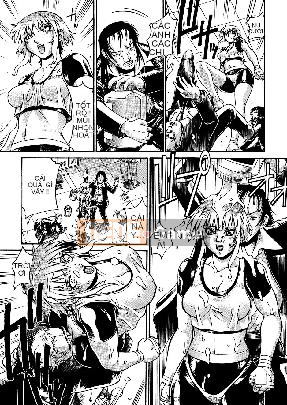 [DON繁] động vật giống cái