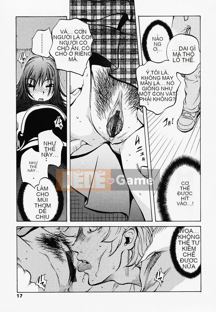 [Kotoyoshi Yusuke] TRÁI CÂY NGON