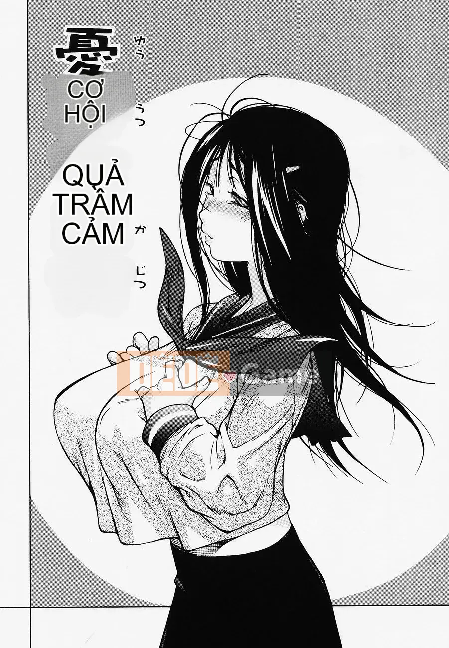 [Kotoyoshi Yusuke] TRÁI CÂY NGON