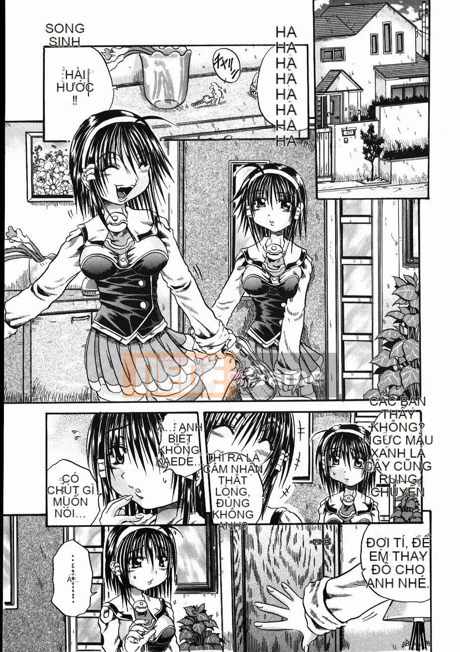 [Danka Naoki] Gusha ~Đồ ngốc~